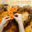Marigold Arrangement-1859913182