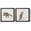 Rascally Raccoon III - ensemble de 2 cadres photo-866149548-866149554-861547198