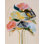 Bloom Series Cadmium