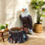 Jardinières en résine durable, grand décor de souche d'aigle rustique pour jardin de patio