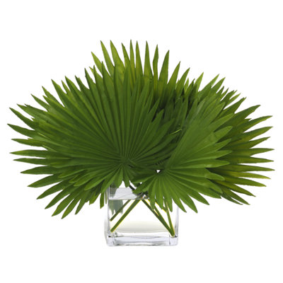 Fan Palm, Green, Glass Cube, 22wx15dx16h