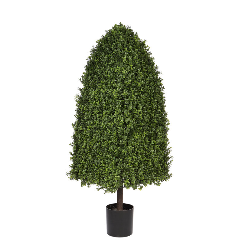 Boxwood Topiary, 56" H x 20" W x 20" D