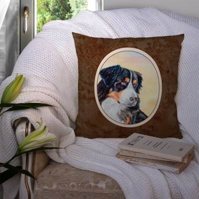  Coussin Bernese