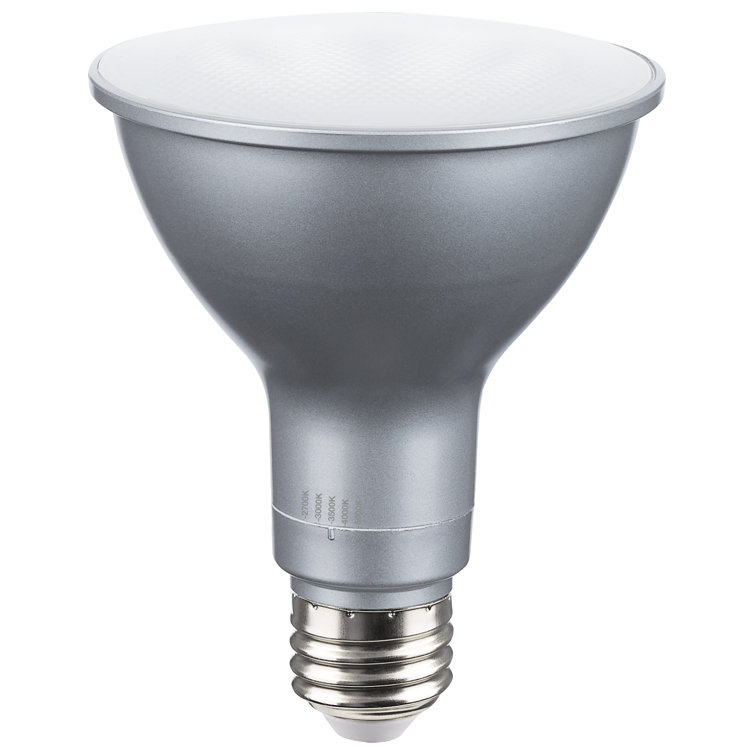 15 Watt PAR30L E26/Medium (Standard) Bulb