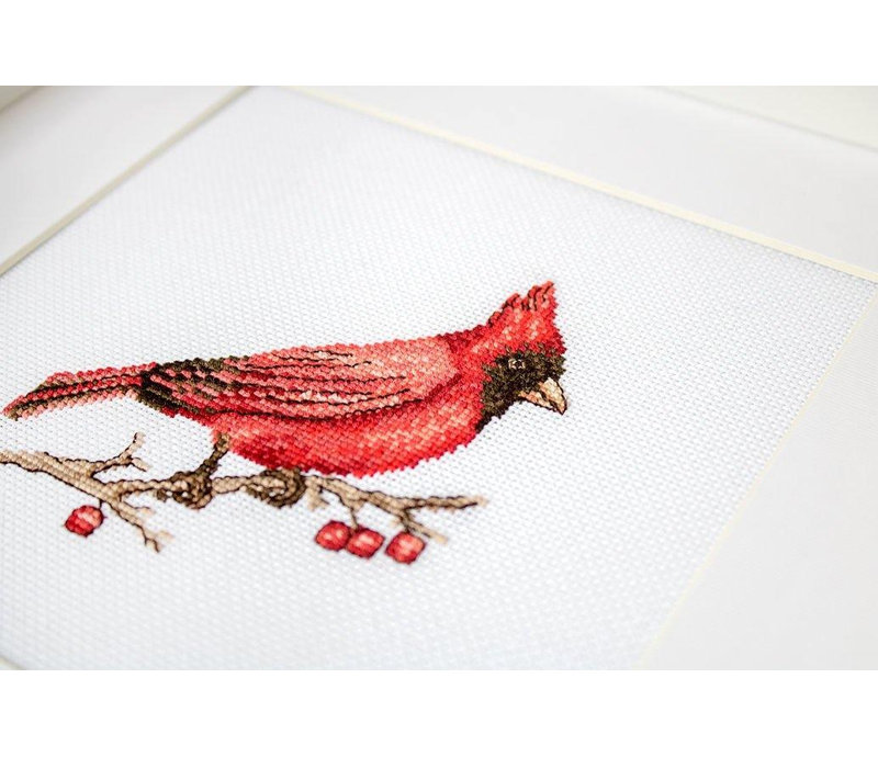 Cardinal Counted Cross-Stitch Kit by Luca-S B1156L