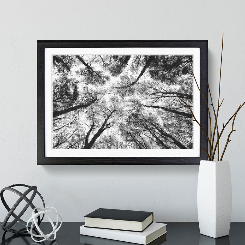 Vaulted Tree Branches - Picture Frame Painting Print, 45cm H x 63cm W x 2cm D, Black Framed