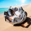 Nickel Plated Shell Wine Cooler