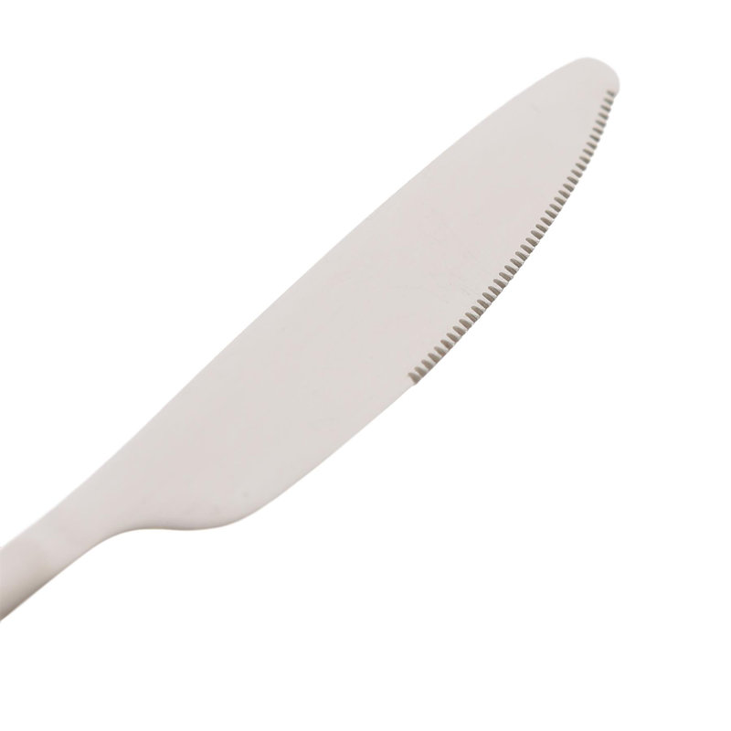 Argon Tableware Stainless Steel Cutlery Set, Silver
