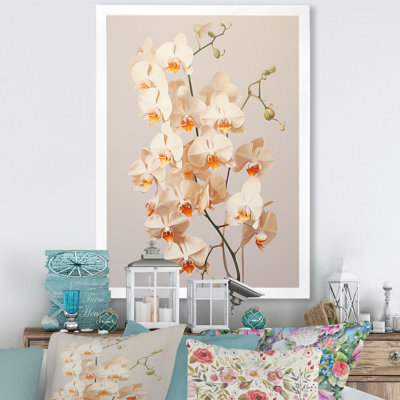 Orchidées beiges tranquillité V