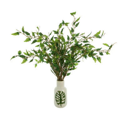 Maitland Organic Modern Smilax Arranged in a Ceramic Leaf Vase