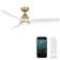 Skylark 3 - Blade Indoor/Outdoor Smart Ceiling Fan with Adjustable CCT 2700K-3000K-4000K-5000K LED Light Kit and Remote Control Included, Works With Alexa and iOS or Android App