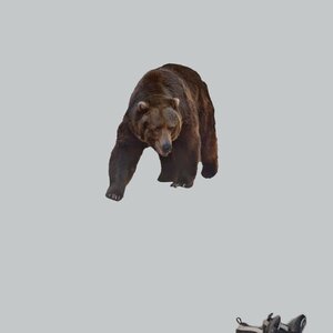 Real Life Grizzly Bear Wall Decal