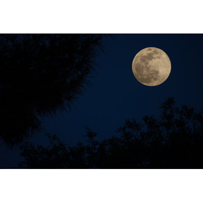 " Full Moon "