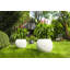 Pot Planter-275699181-348833670