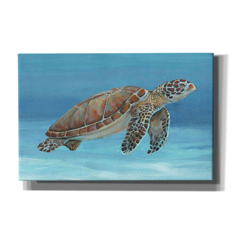 «Ocean Sea Turtle I» par Tim O'toole, art mural sur toile, H 26 po x l 40 po x P 1,5 po