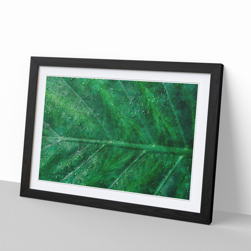 Green Leaf Pattern - Framed Print, Black Framed, 48cm H x 65cm W x 2cm D