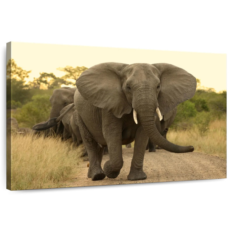 Brampt The Elephant Walk, 8" H x 12" W
