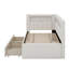 Lit plateforme tapissier avec lit gigogne, ports USB et ceinture à DEL-1299841078-1299841079