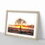 Sunlight Through the Oak Tree in Abstract - Framed Print-55727612-55727623
