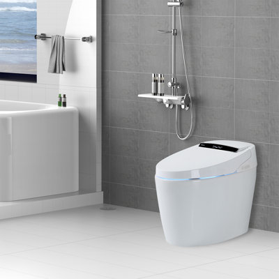 Wall Mount Bidet