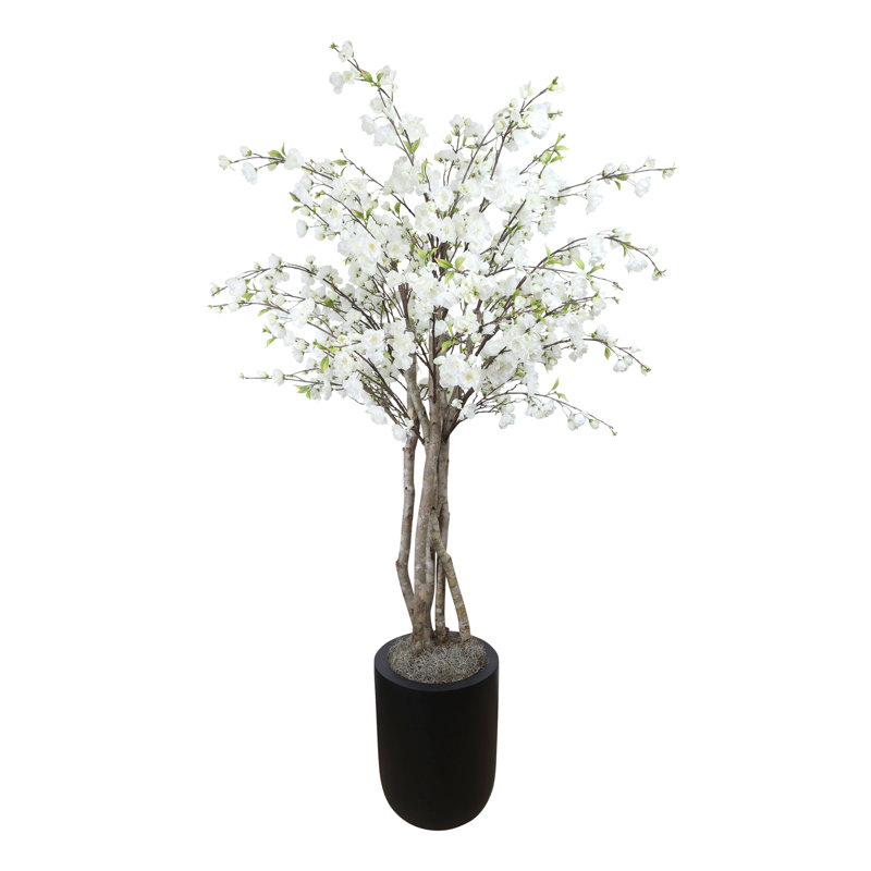 Cherry Blossom Tree in a Fiberstone Pot