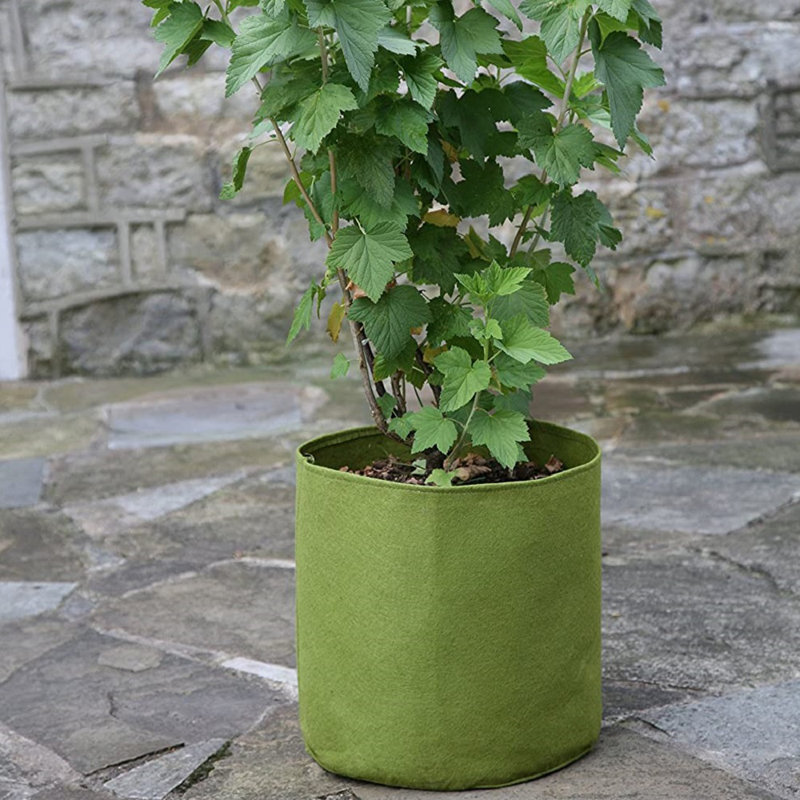 Arionah Pot Planter, 30cm H x 30cm W x 30cm D
