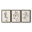 Neutral Botanical Study I - Ensemble de 3 reproductions d'art sur toile-1870357657-1870357606