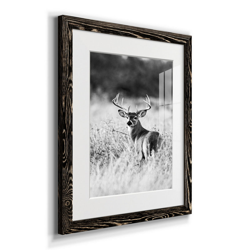 Grasslands - reproduction de photo, H 44 po x l 31 po x P 1 po, Papier encadré noir, Blanc