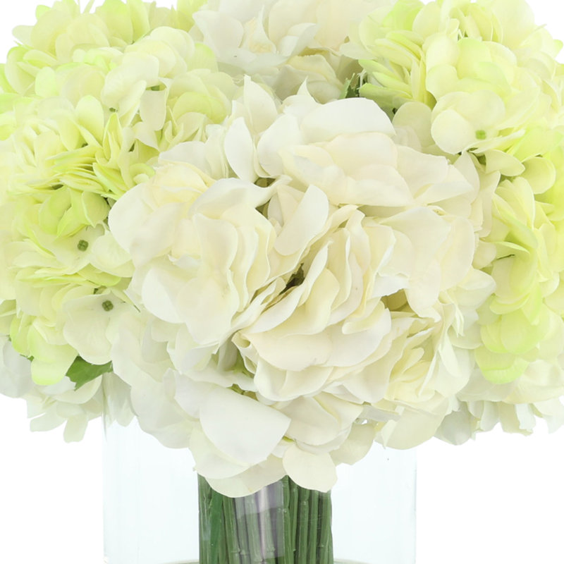 Hydrangeas Arranged in Glass Vase
