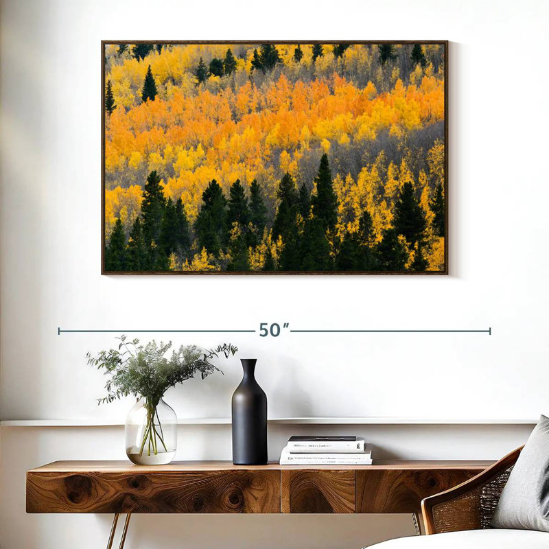 Colorado Aspen Wilderness, Cadre flottant noyer, 40 po x 27 po