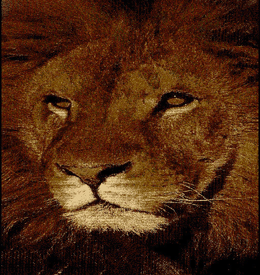 Tapis Patchen King of the Jungle, Rectangle 5 pi 3,6 po x 7 pi 9 po