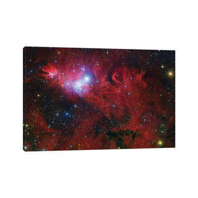 Cone Nebula Mosaic by Robert Gendler - Wrapped Canvas Print