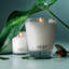Forest Rain Votive Candle-577245841