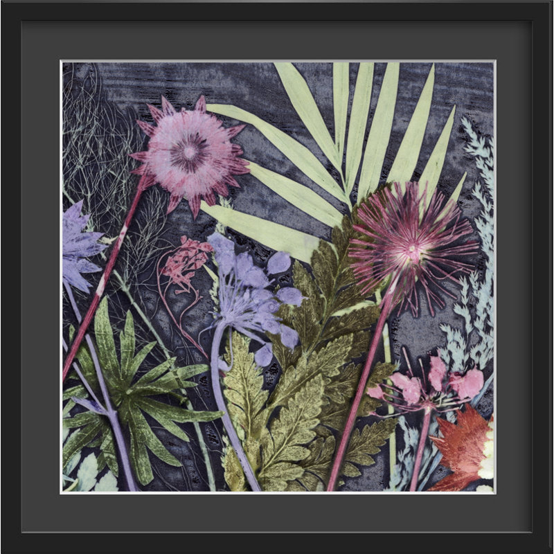 Gillian Arnold - Single Picture Frame Print