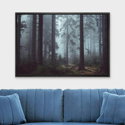 Nature, paysage, pin, forêt, brume