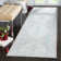 Chauncey Performance Oriental Rug