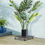 Support pour plante Quintavia-456435576-456435579