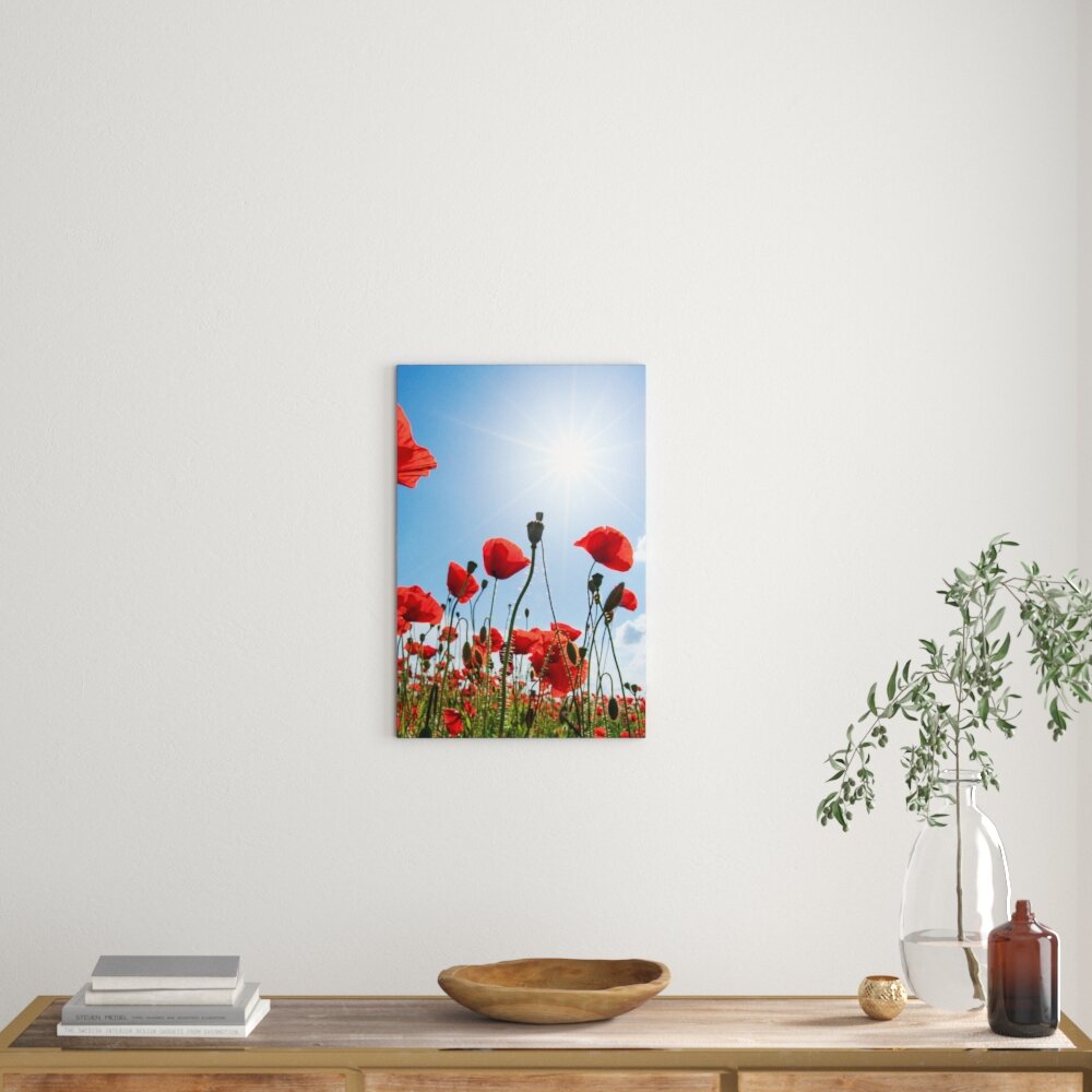 Leinwandbild Mohnblumen, Fotodruck