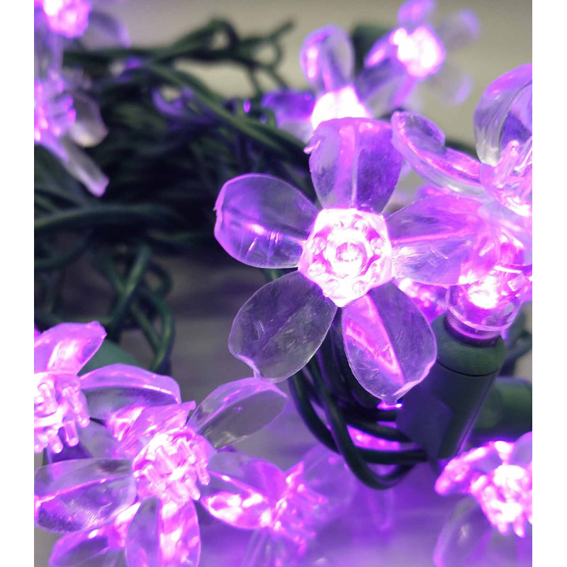 String Light, Purple
