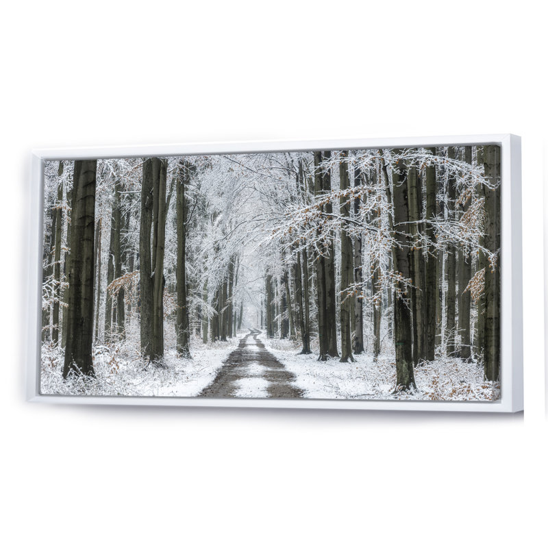 Forêt d'hiver - Photographie sur toile, Cadre blanc, H 30 po x l 40 po x P 1,5 po
