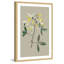 «Botanical Cabinet VI», reproduction encadrée-18829673