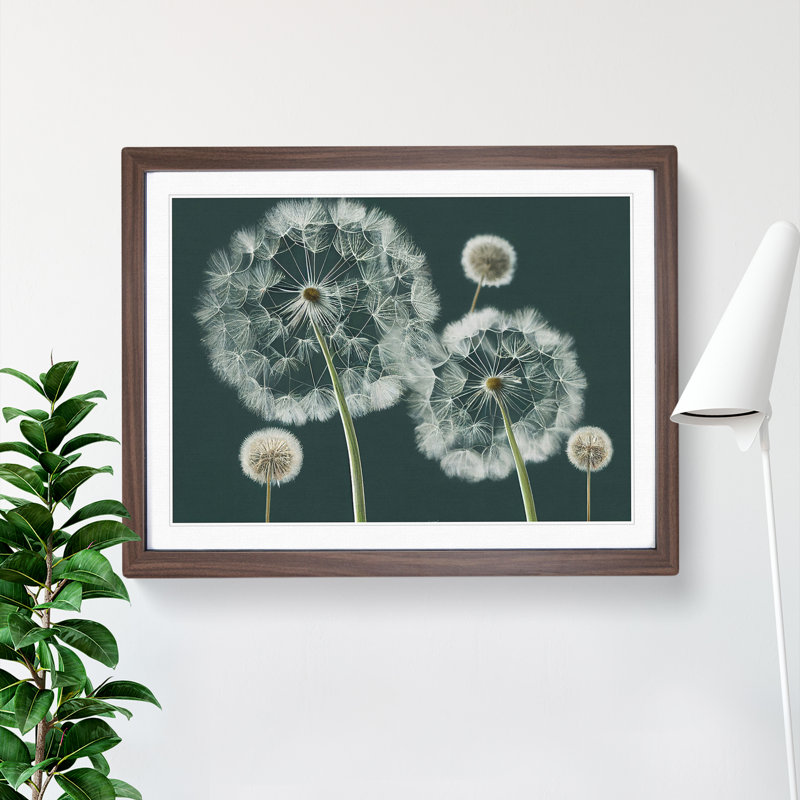 Magical Dandelion Flowers - Framed Print, 46cm H x 64cm W x 2cm D, Walnut