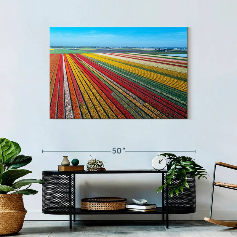 Ferme de tulipes sans fin Alvord