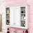 Medicine Cabinet with Adjustable Shelf