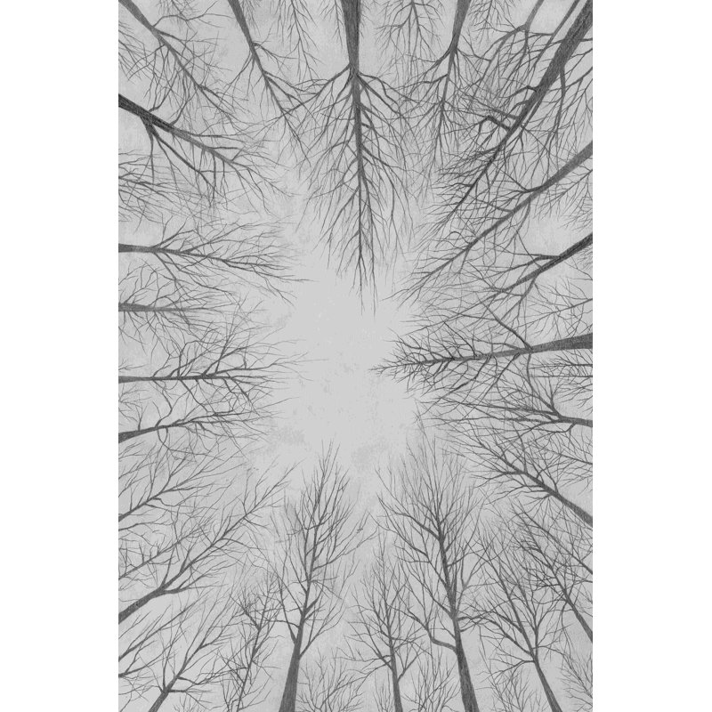 Reproduction sur toile tendue, "Decidous Canopy I" par Michael Willett, L 12 po x H 18 po