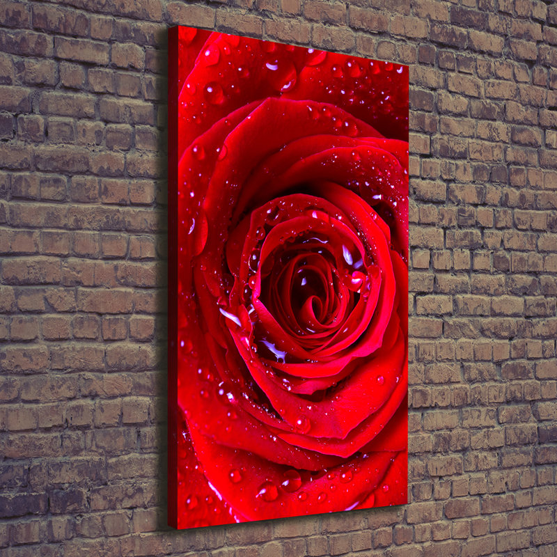 Red Rose - Wrapped Canvas Print
