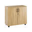 Marjorie Wood Storage Cabinet with Lock, 2 Door Locking File Tool Cabinet Cupboard with Adjustable Shelf-30562429