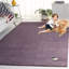 Roxy Solid Color Hand Woven Hand Tufted Wool/Cotton Area Rug in Purple-1715520989