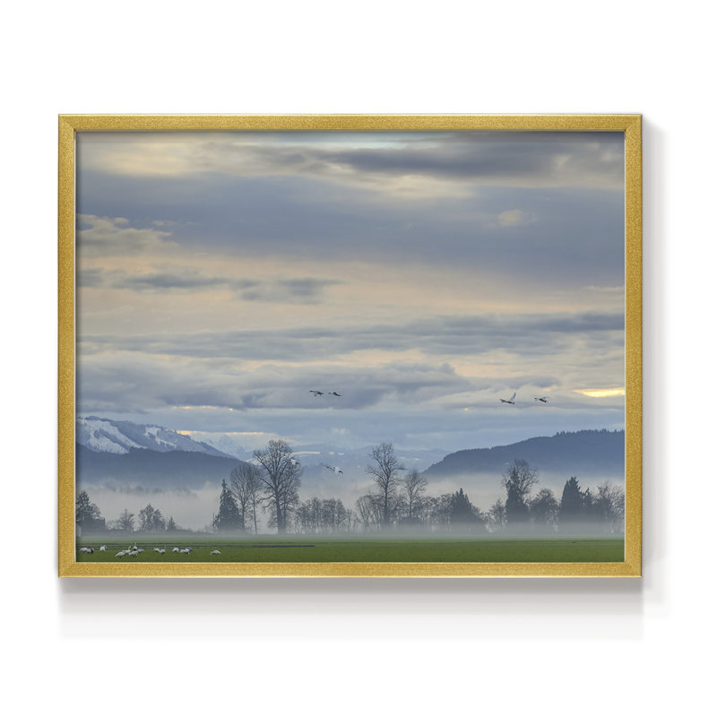 «Misty Horizon», impression encadrée, H 8 po x l 10 po