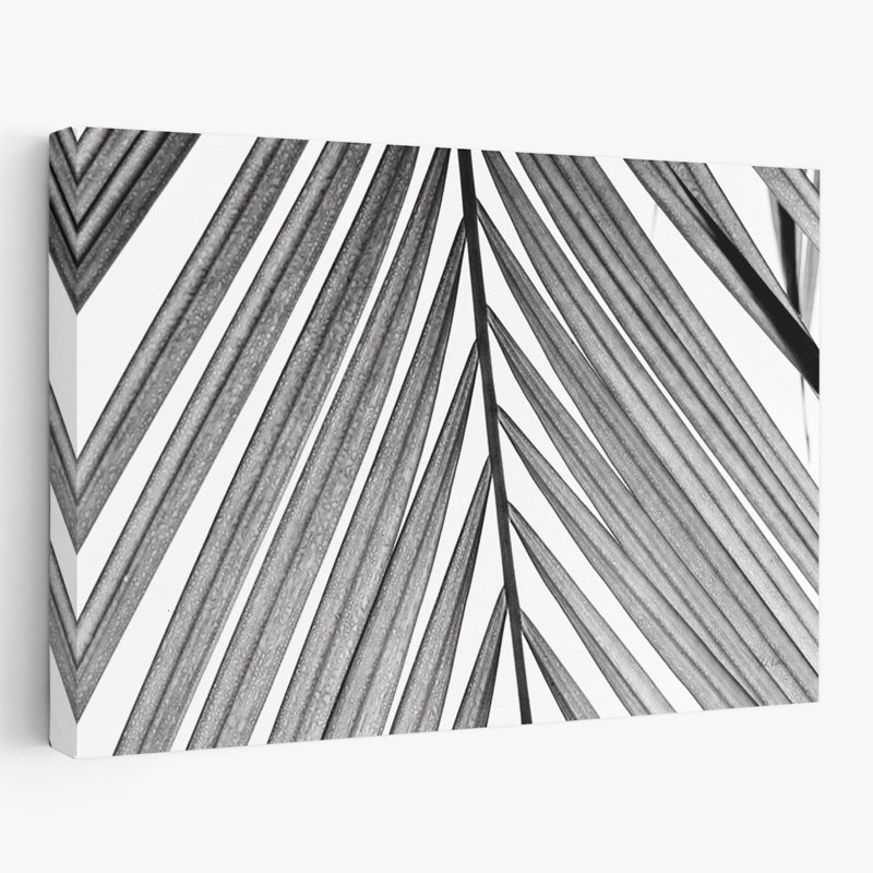 Jardin BW Fern I, H 24 po x l 16 po